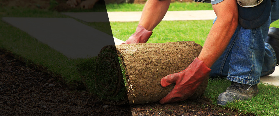 Fairview Heights Landscapers